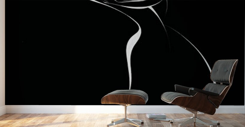 EMBRACE OF LIGHT B Wall Murals