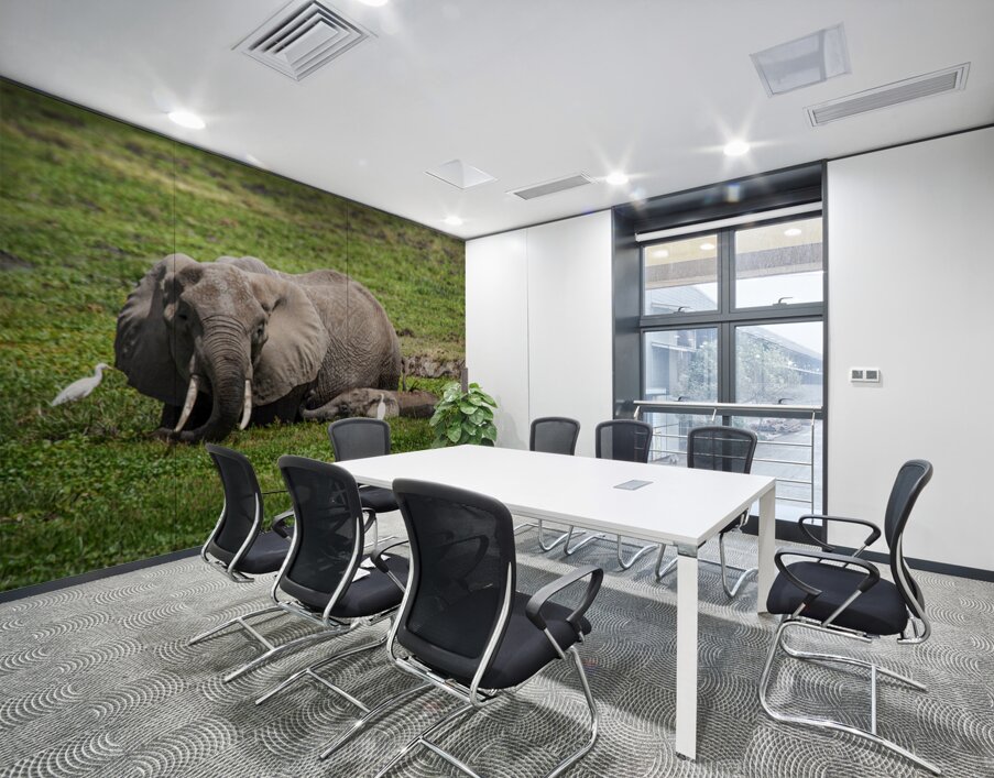 Gentle Giants Wall Printing