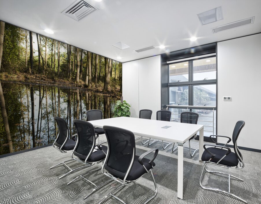 Mirror of the Woods Wall Printing