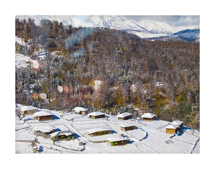 Silent Cabins Picture Frame print