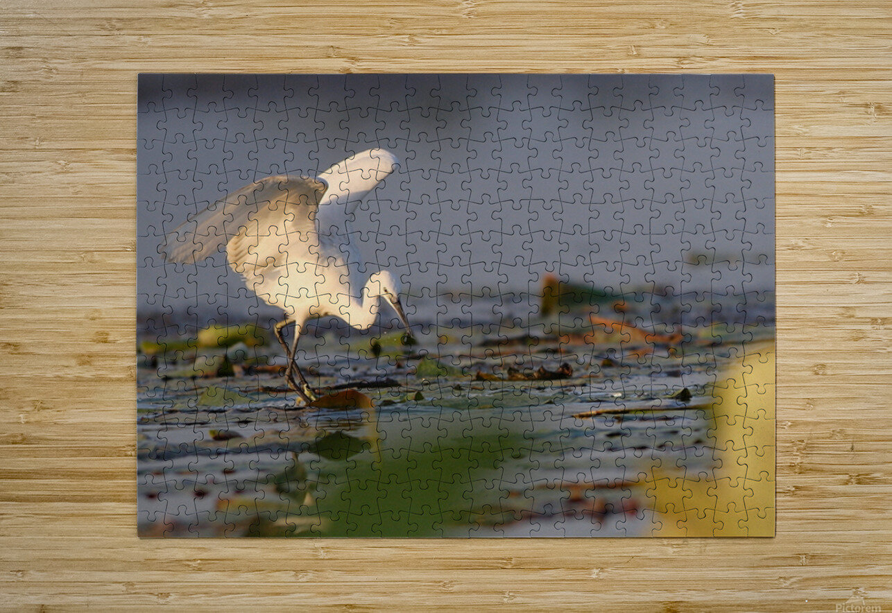 Dance of the Heron NARIO Puzzle printing