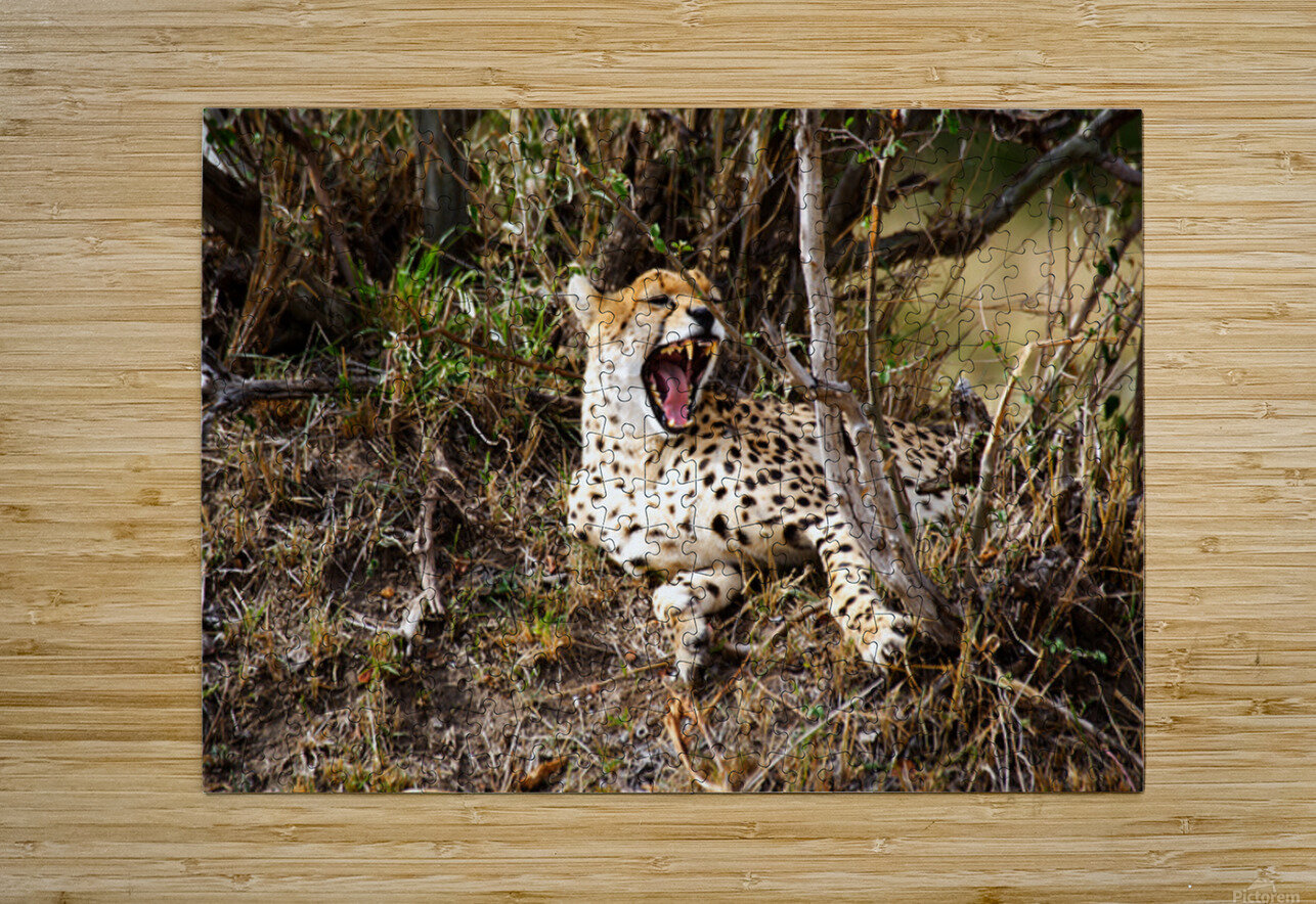 cheetah Africa NARIO Puzzle printing