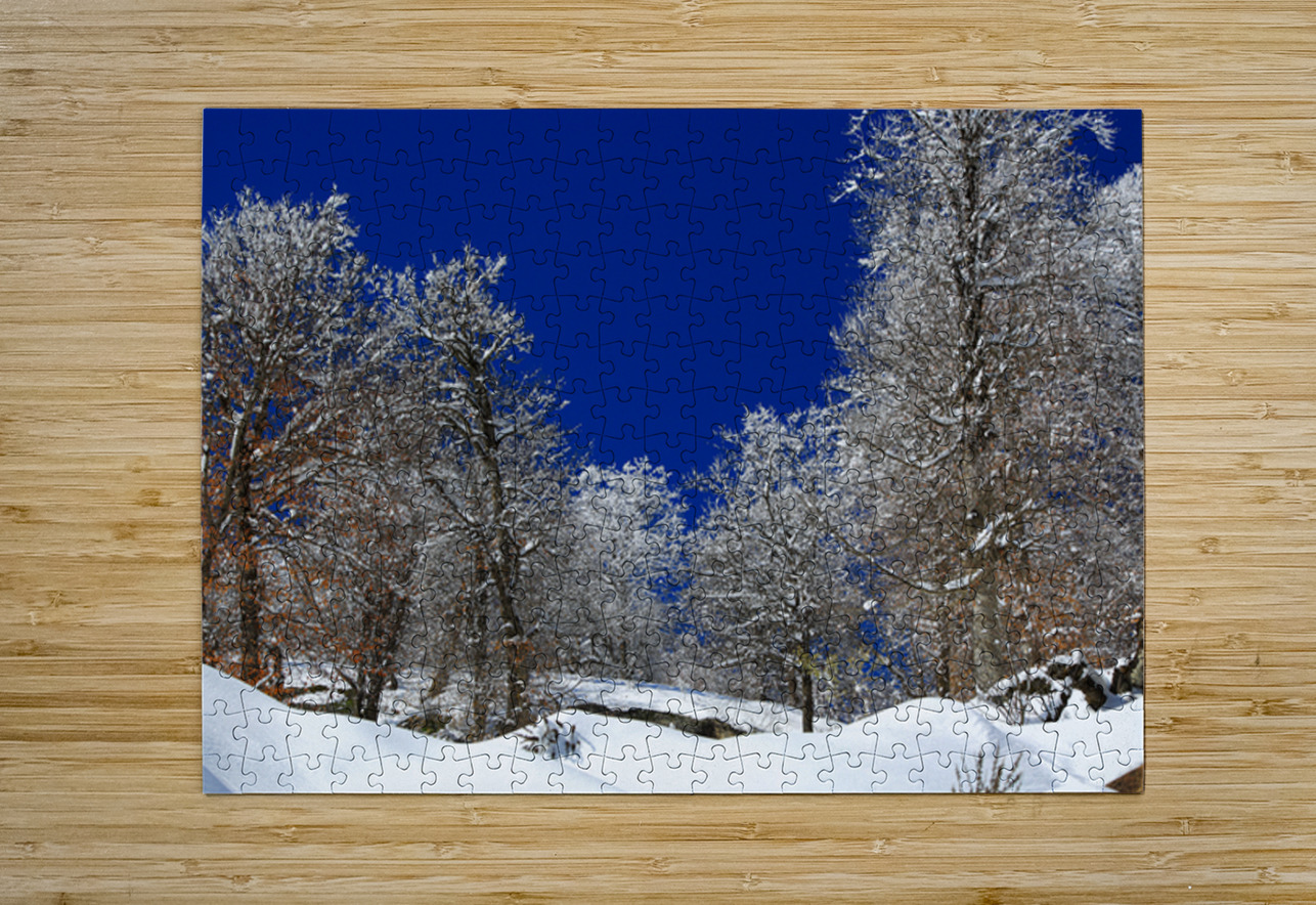  Silent White NARIO Puzzle printing