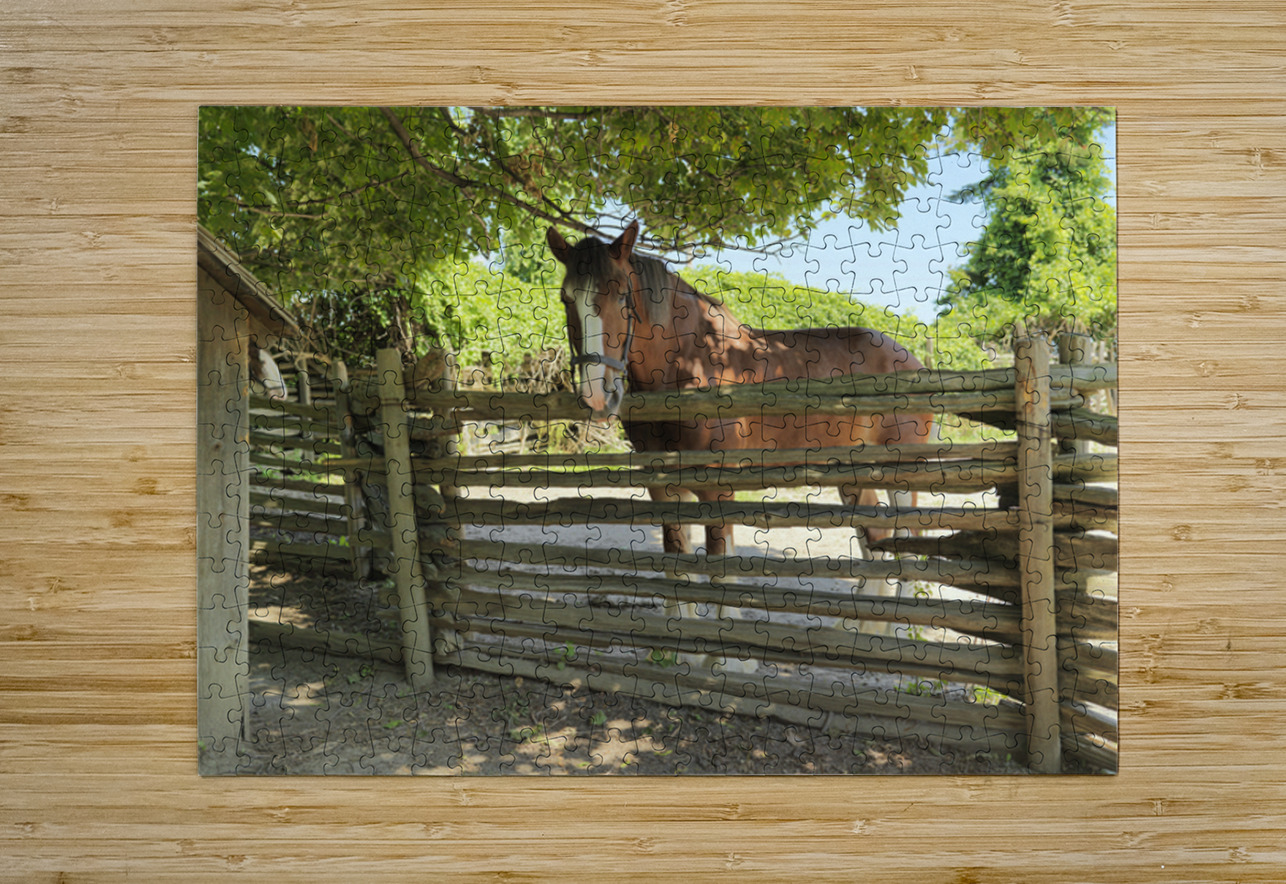 Brown Grace NARIO Puzzle printing