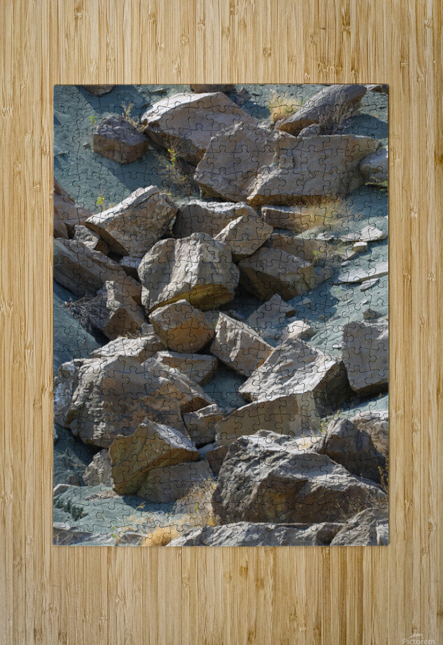 Earth’s Puzzle NARIO Puzzle printing