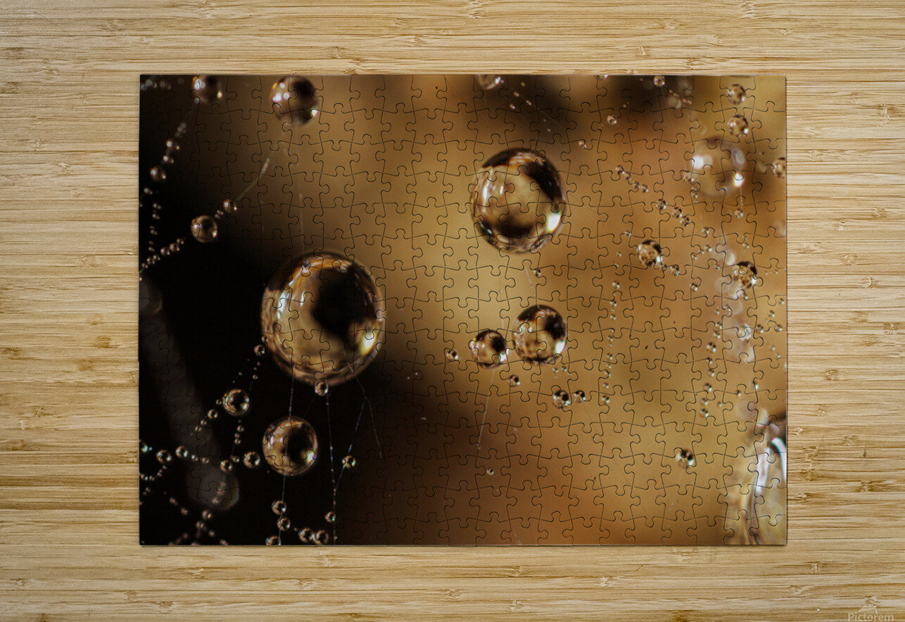 Floating Worlds NARIO Puzzle printing