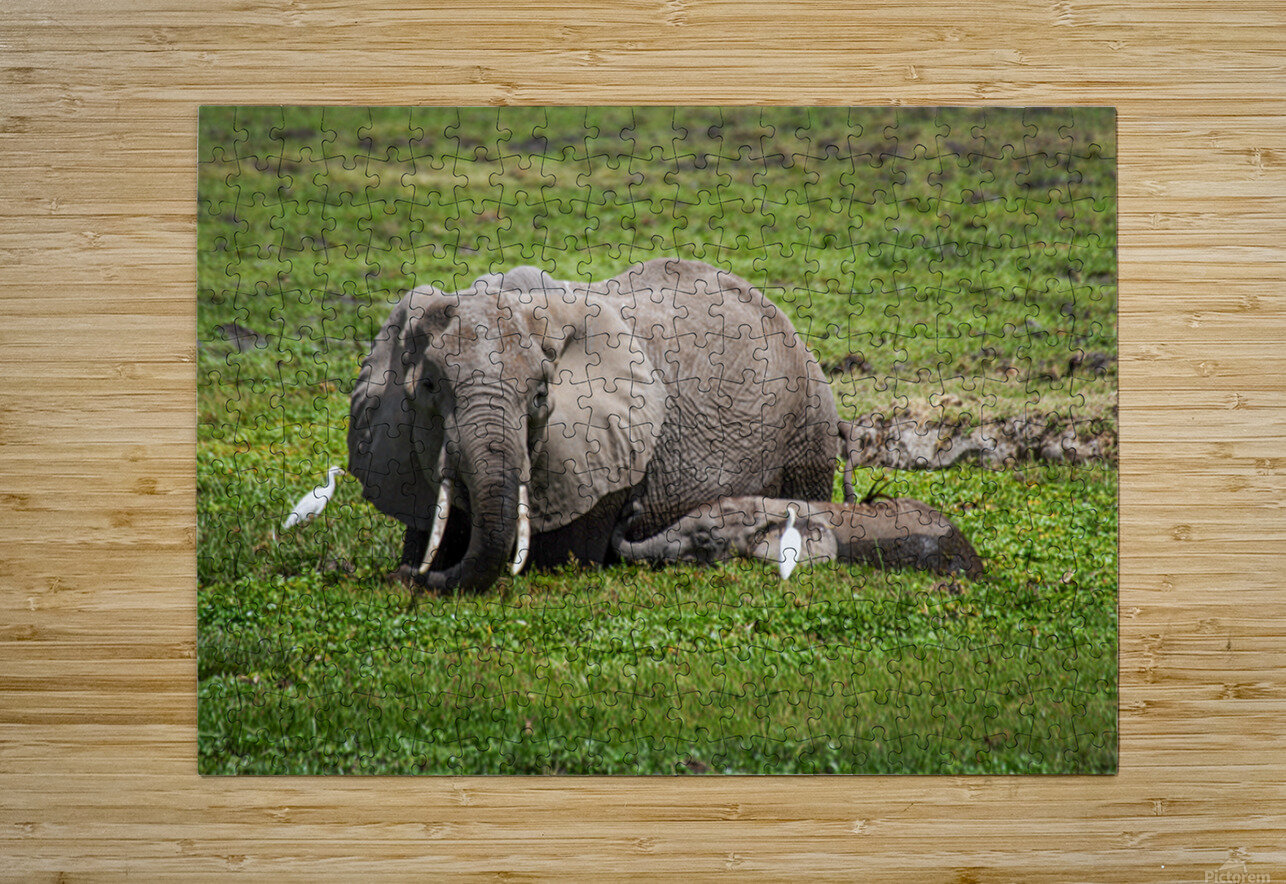 Gentle Giants NARIO Puzzle printing
