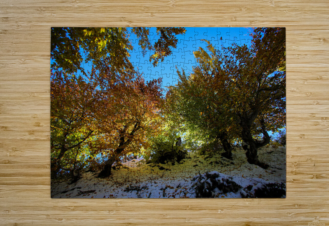 Embrace of Light NARIO Puzzle printing