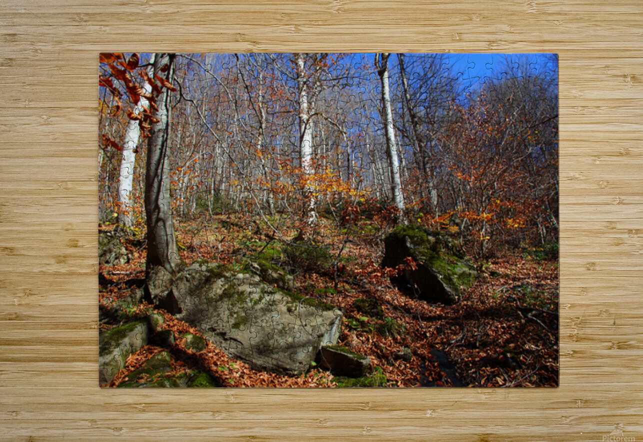 Echoes of Leaves NARIO Puzzle printing