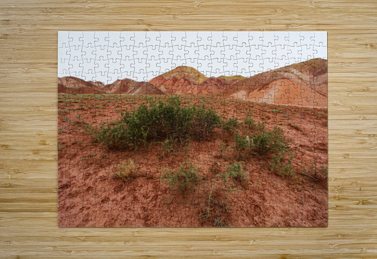 Roots of Fire NARIO Puzzle printing