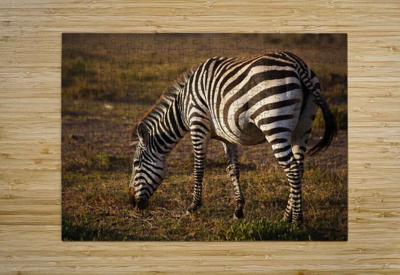 Stripes of Life NARIO Puzzle printing