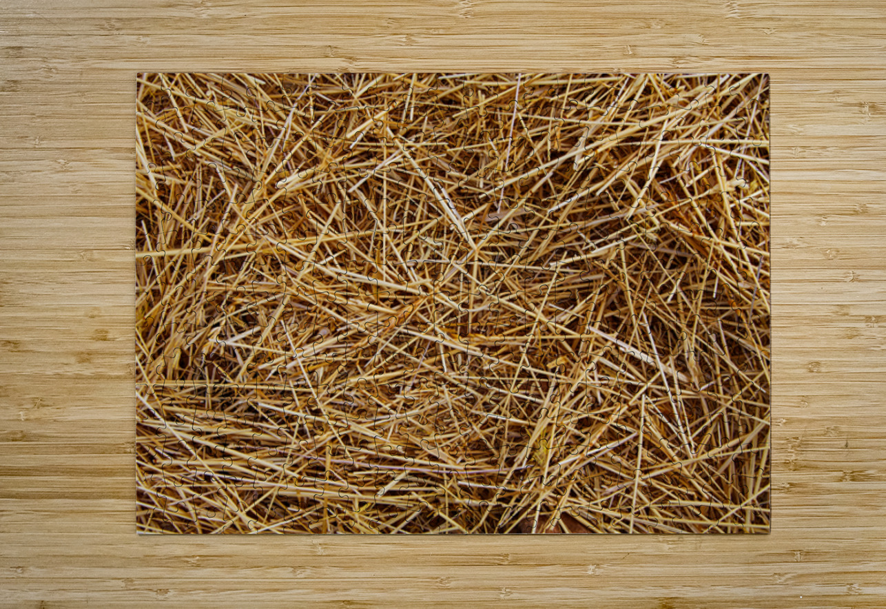 Silent Nest NARIO Puzzle printing