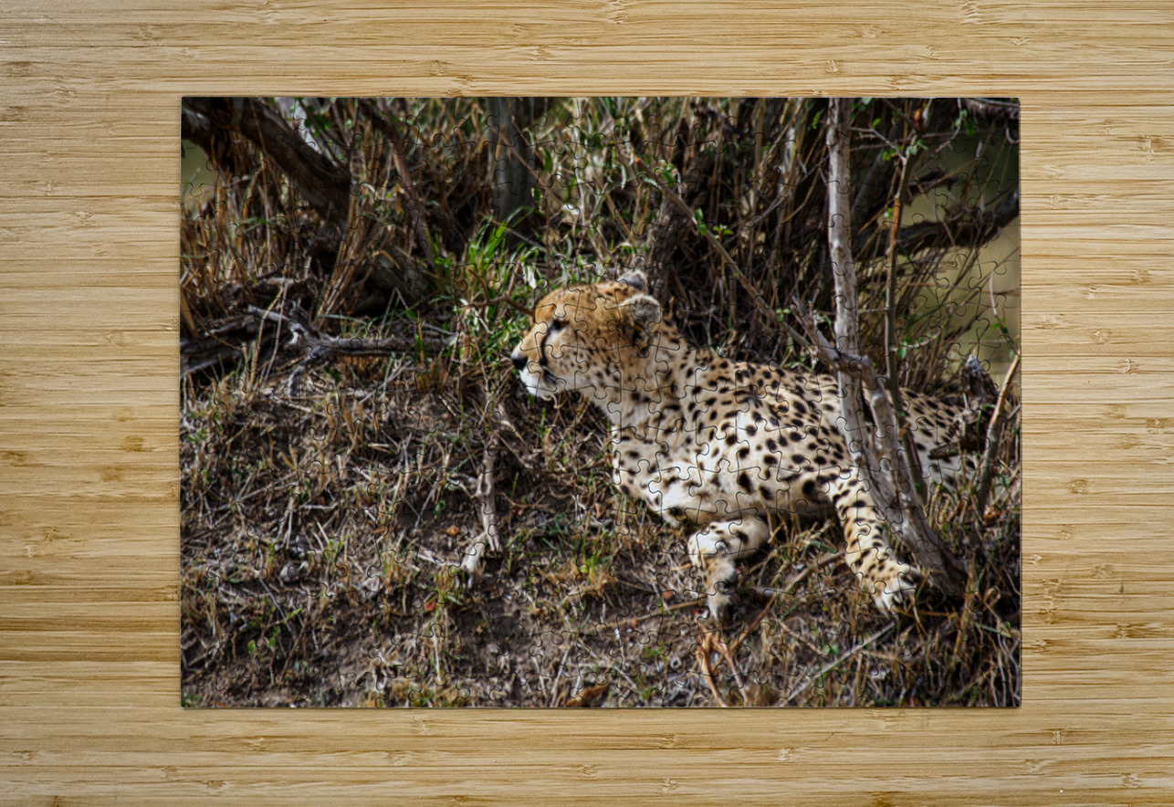 Silent Hunter NARIO Puzzle printing