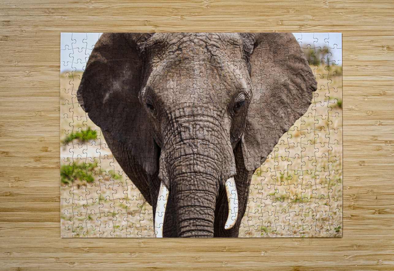 Timeless Strength NARIO Puzzle printing