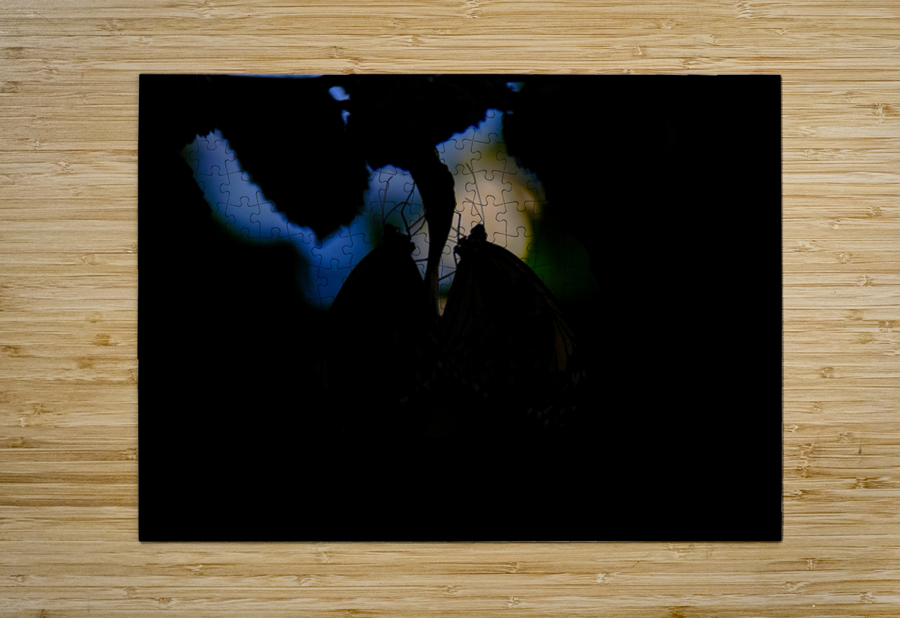 Silent Connection NARIO Puzzle printing