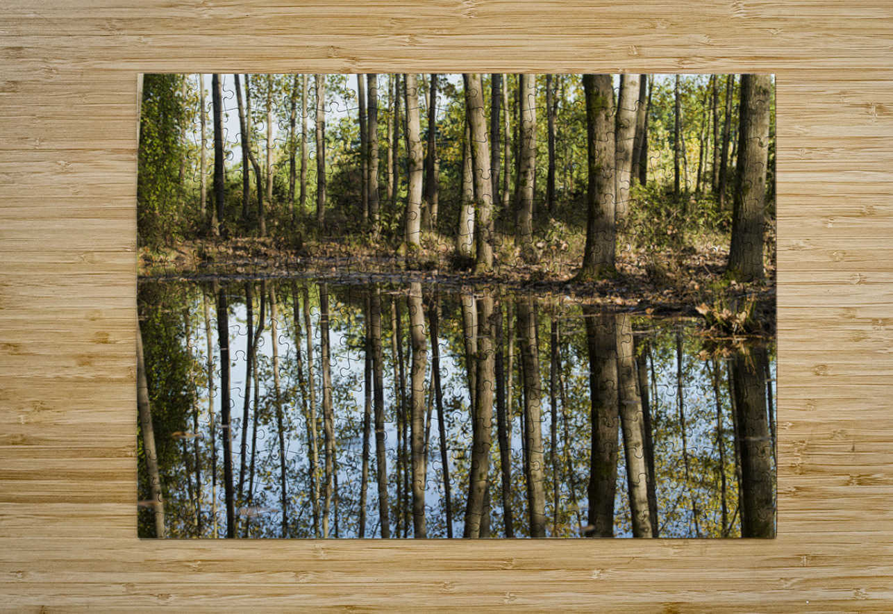 Mirror of the Woods NARIO Puzzle printing