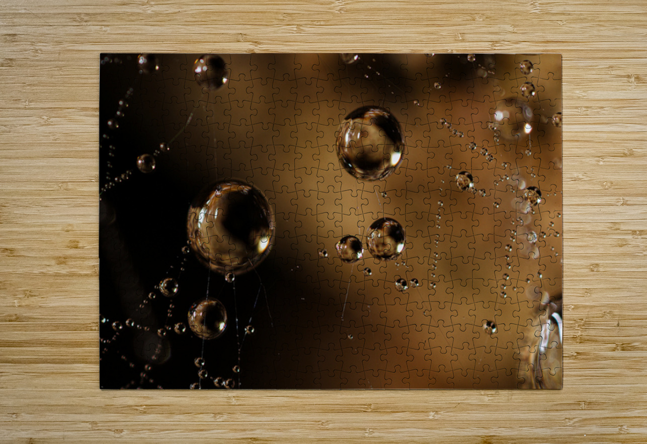 Web of Stars NARIO Puzzle printing