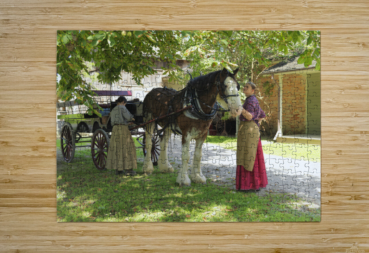 Timeless Companions NARIO Puzzle printing