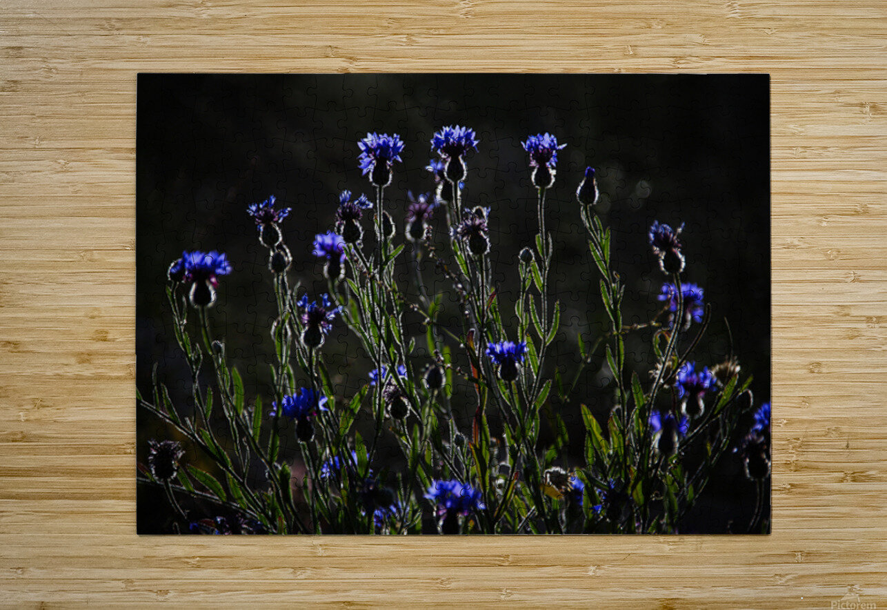 Night Dance NARIO Puzzle printing