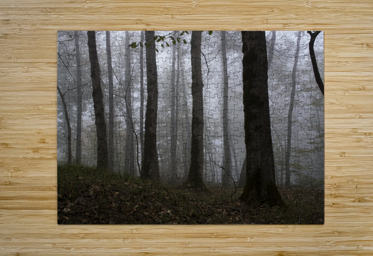 Whispers of the Fog NARIO Puzzle printing