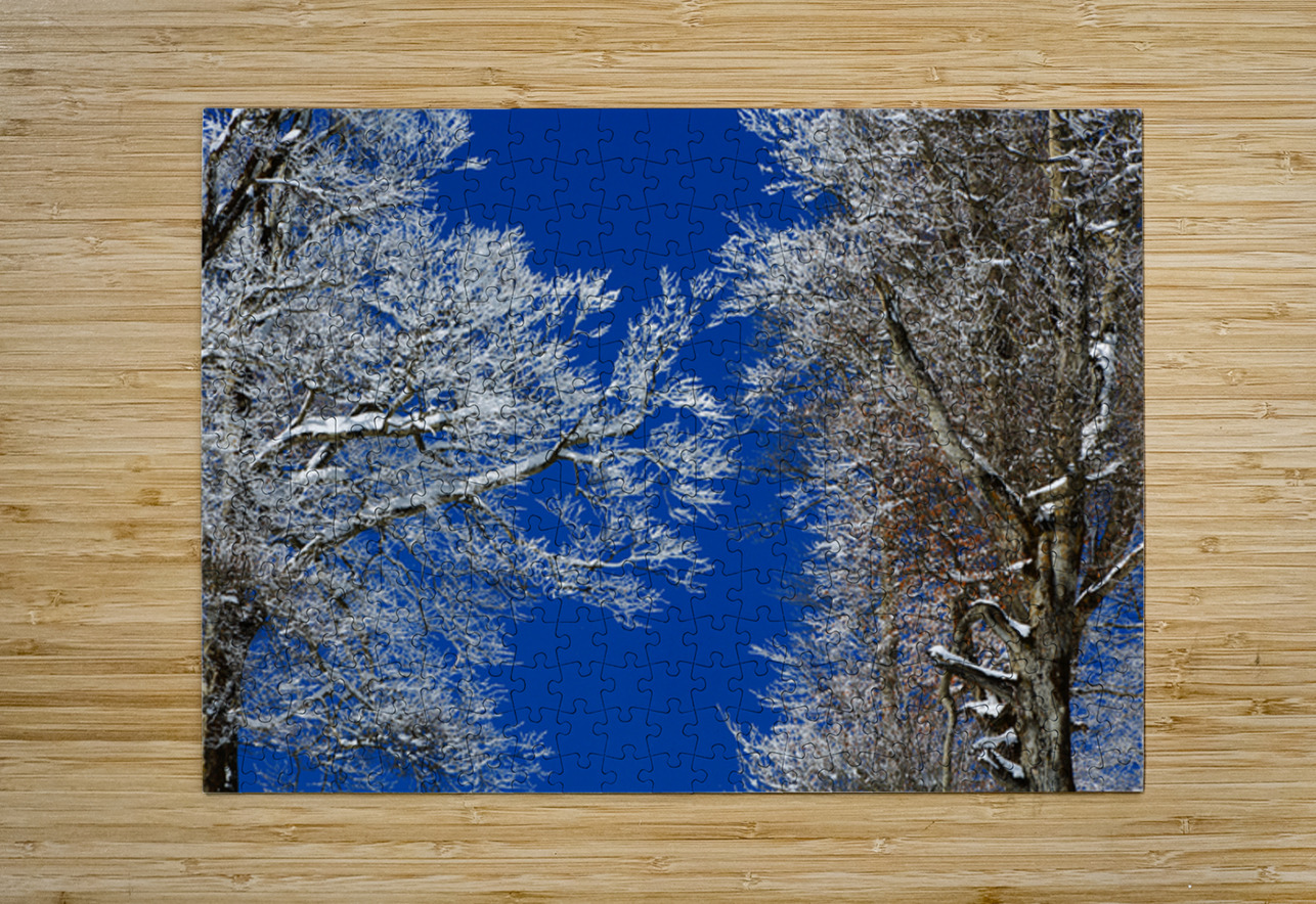Winter’s Embrace NARIO Puzzle printing