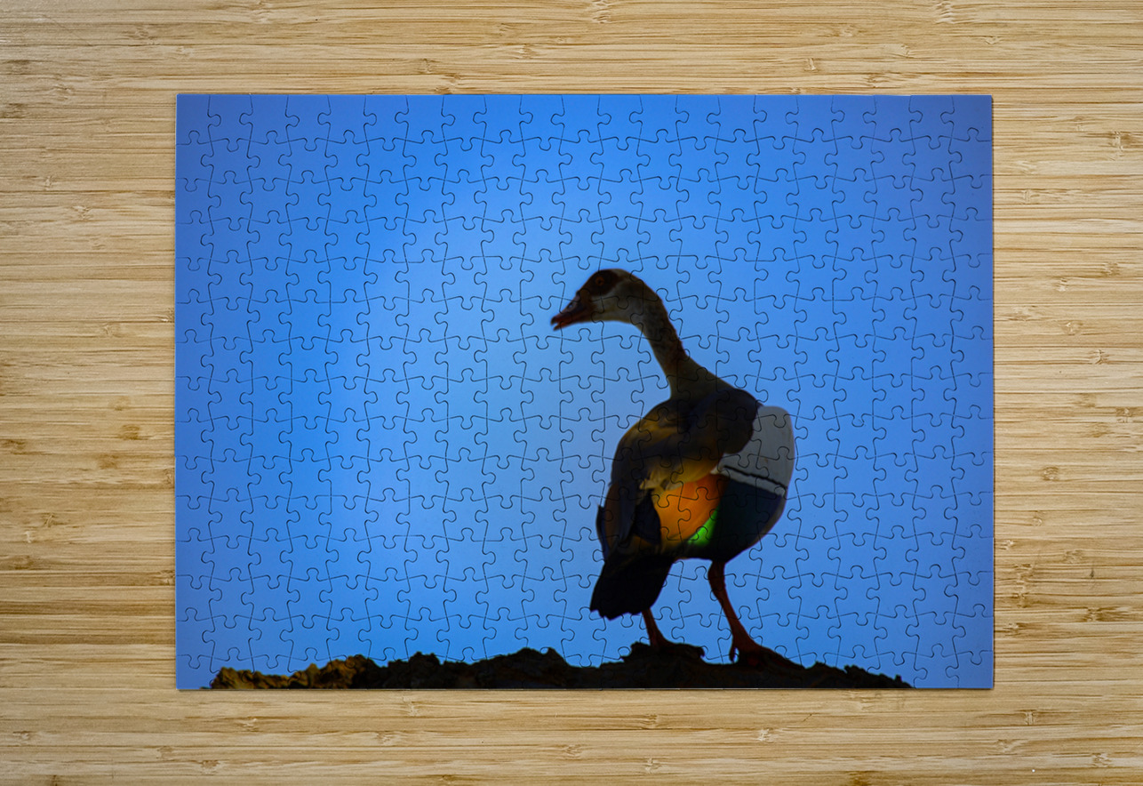 Wings of Light NARIO Puzzle printing