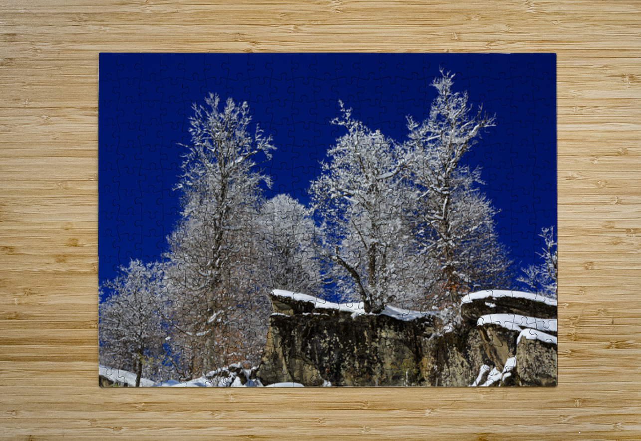 Winter Fortress NARIO Puzzle printing