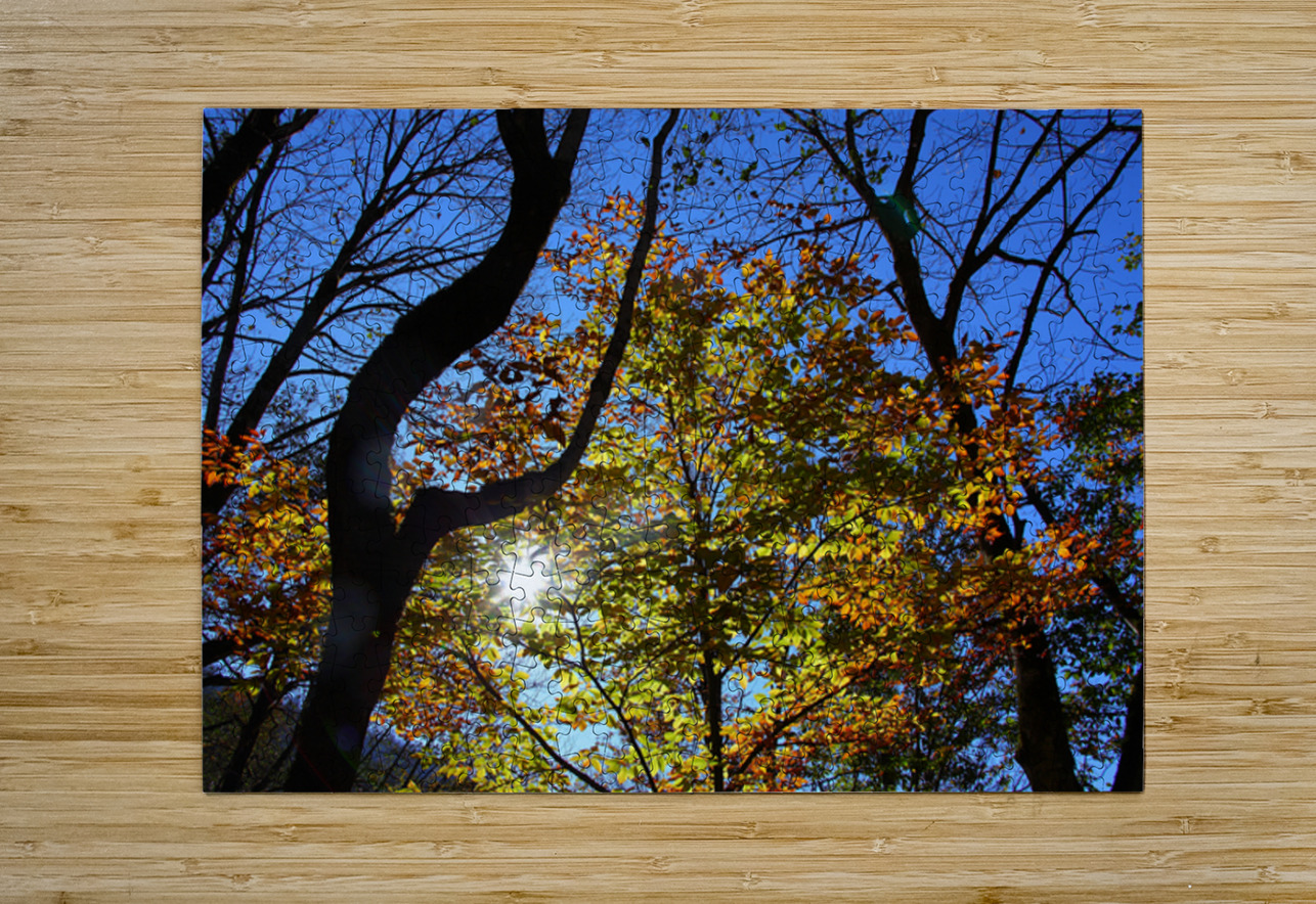 Through the Leaves NARIO Puzzle printing