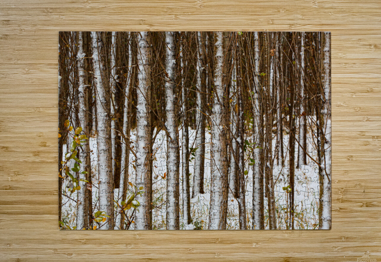 Song of Verticals NARIO Puzzle printing