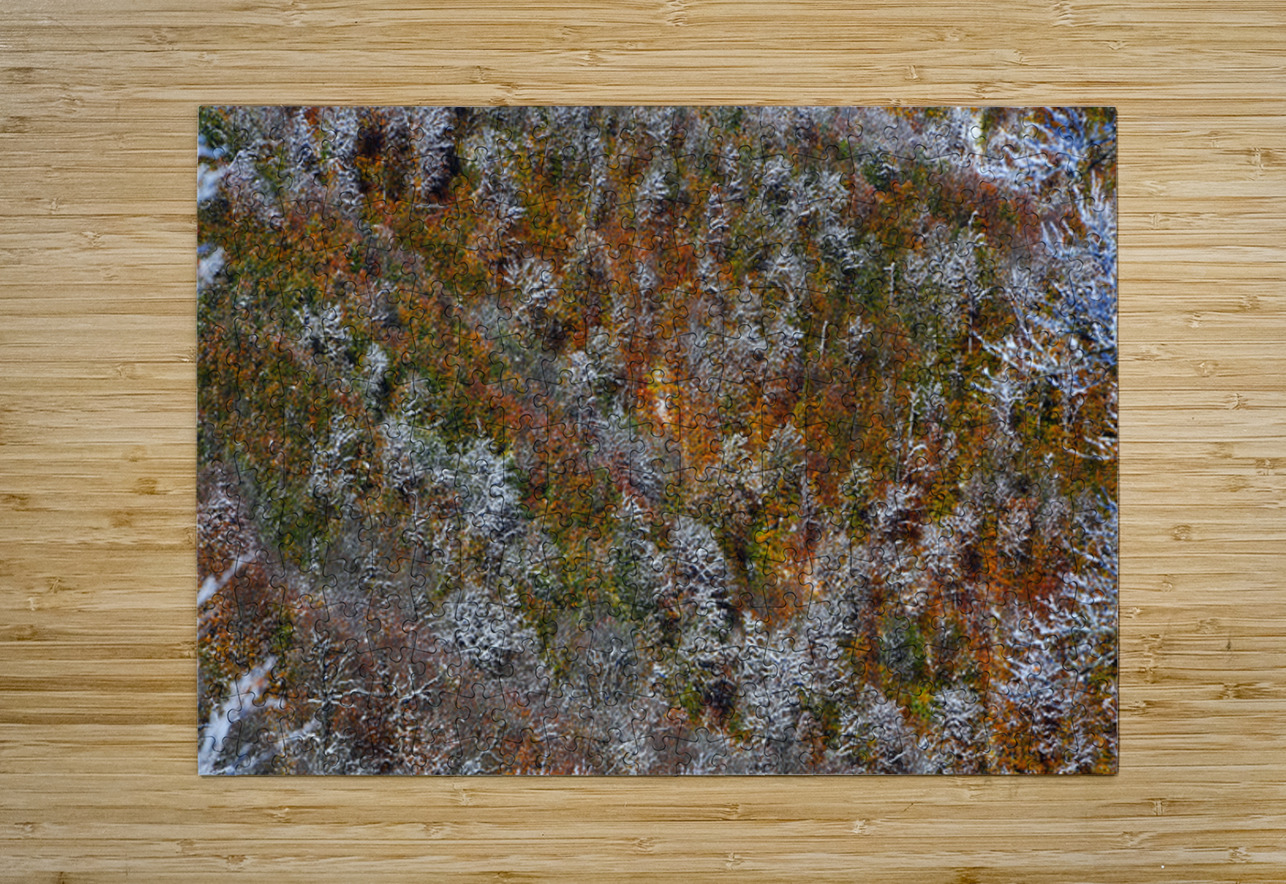 Poetry of Seasons NARIO Puzzle printing