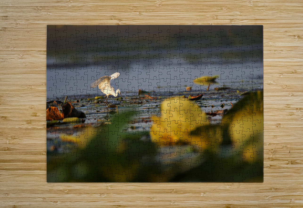 White Egret NARIO Puzzle printing