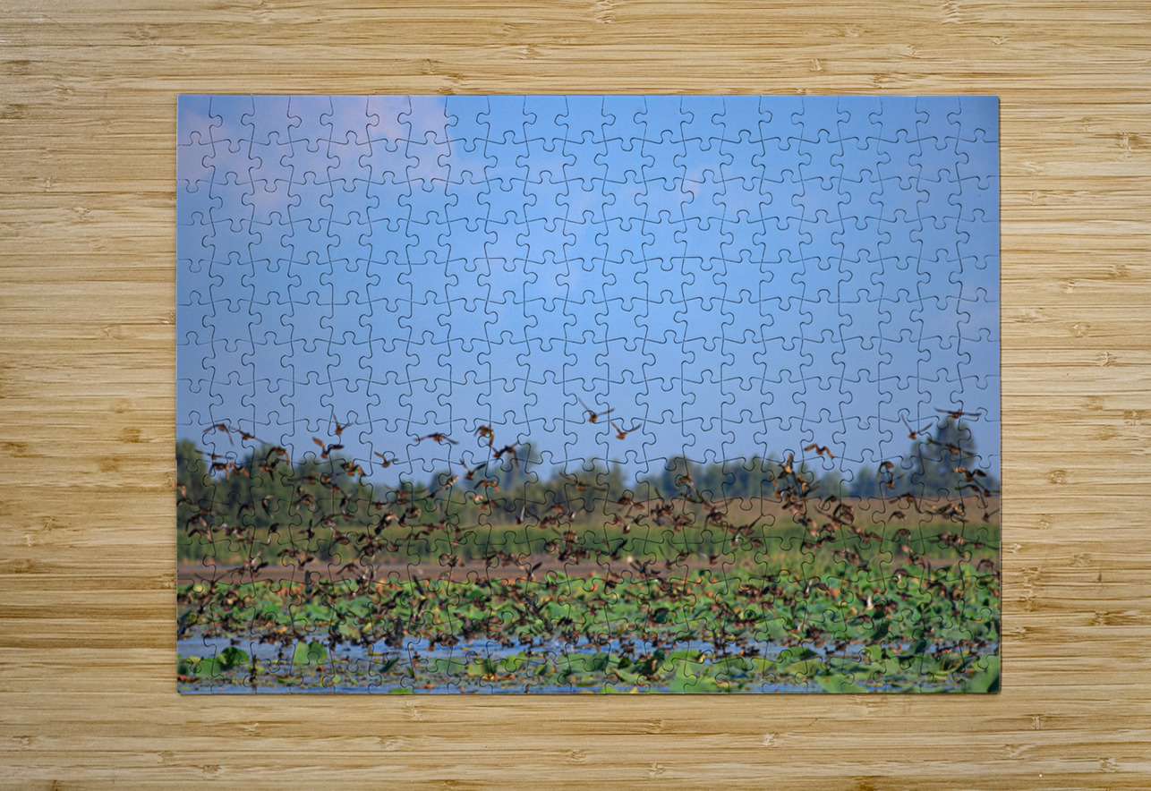 Flight of Freedom NARIO Puzzle printing