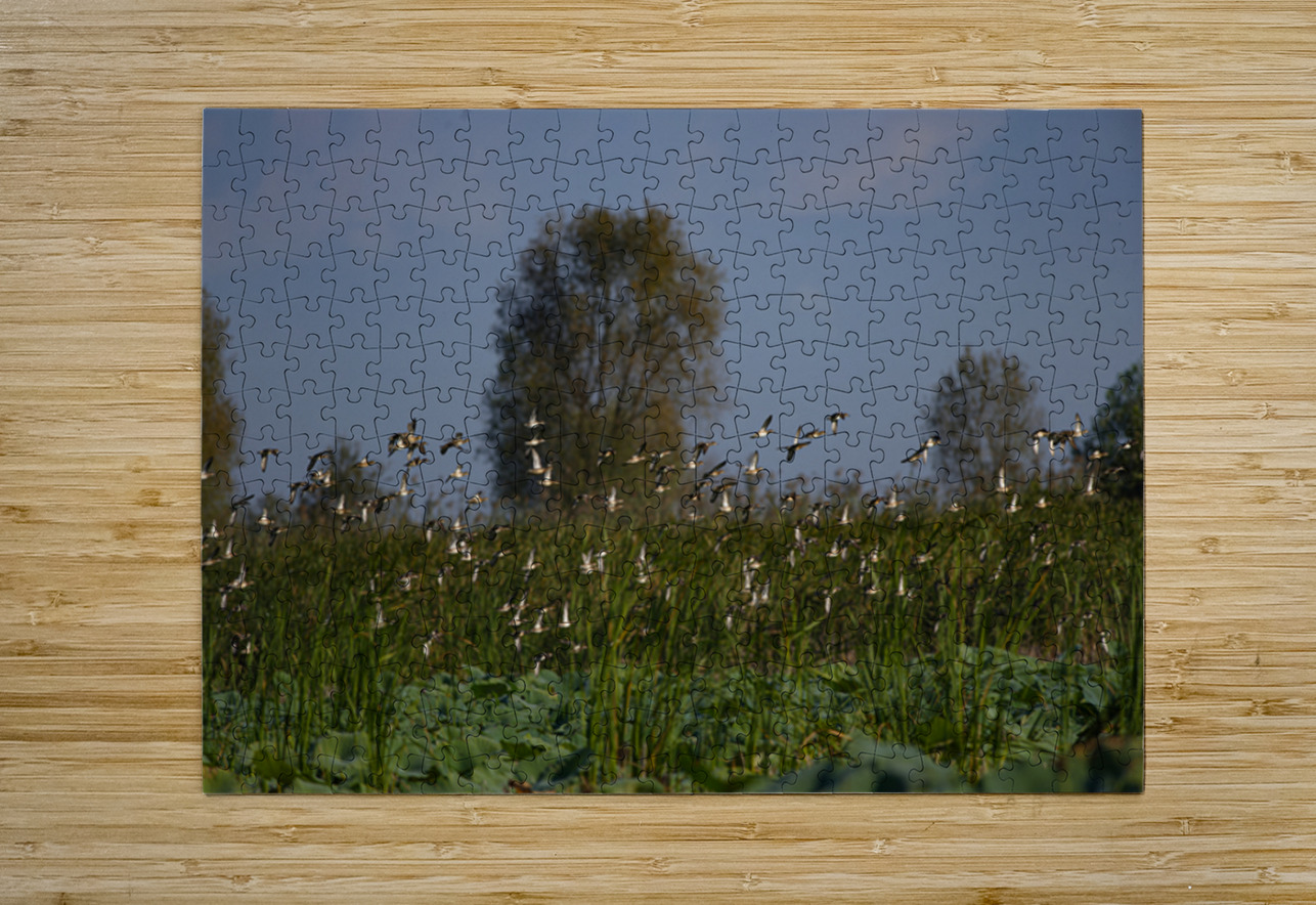 Whispers of the Marsh NARIO Puzzle printing