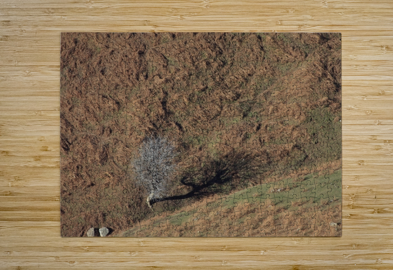 Solitary Shadow NARIO Puzzle printing