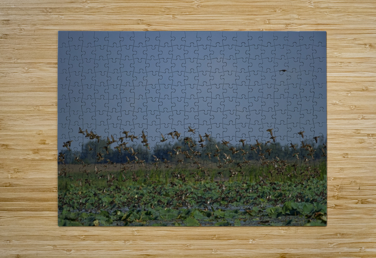Wings Over the Wetland NARIO Puzzle printing