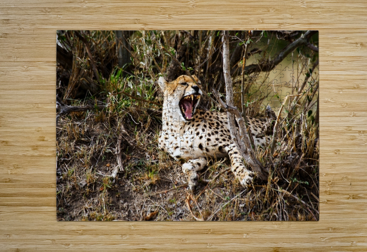 Majestic Yawn NARIO Puzzle printing