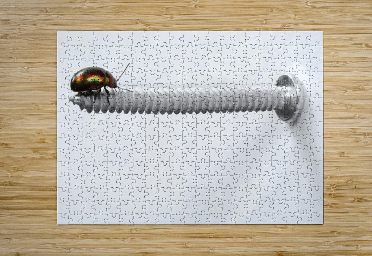 bitle NARIO Puzzle printing