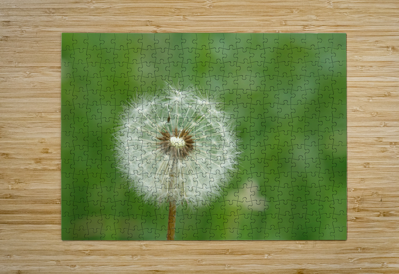 Dandelion NARIO Puzzle printing