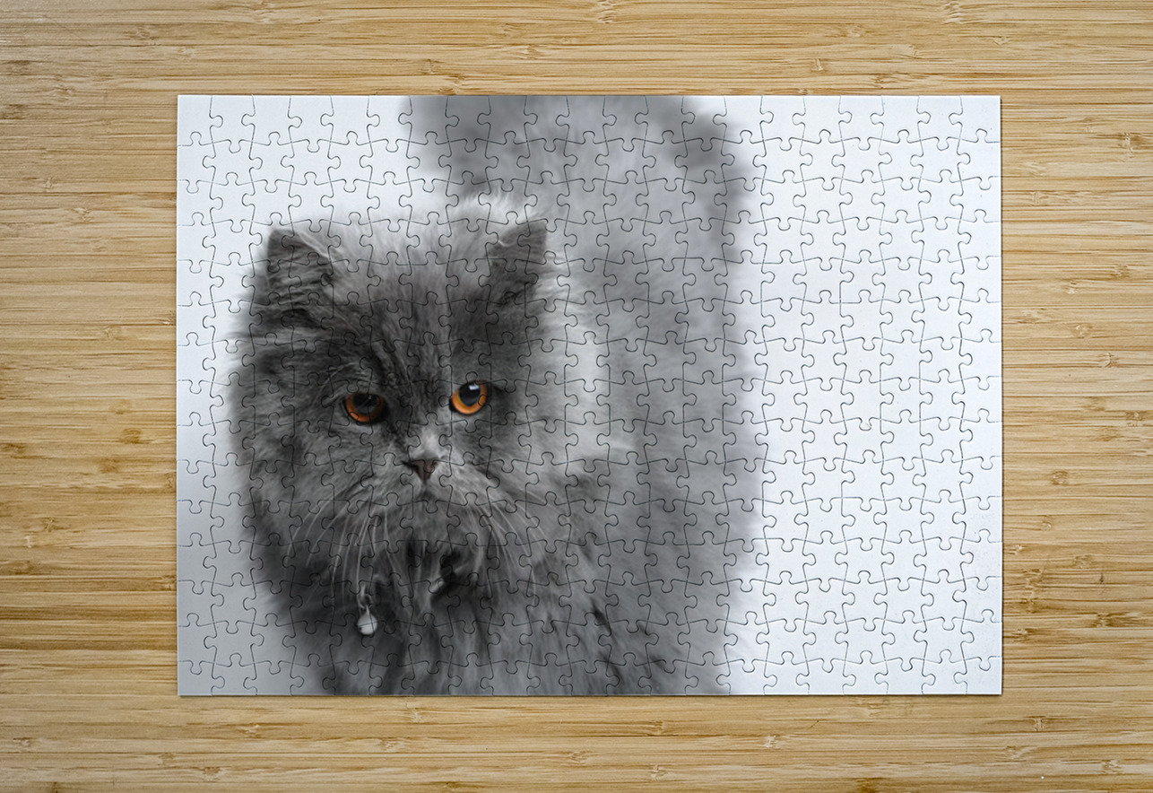 Cat NARIO Puzzle printing