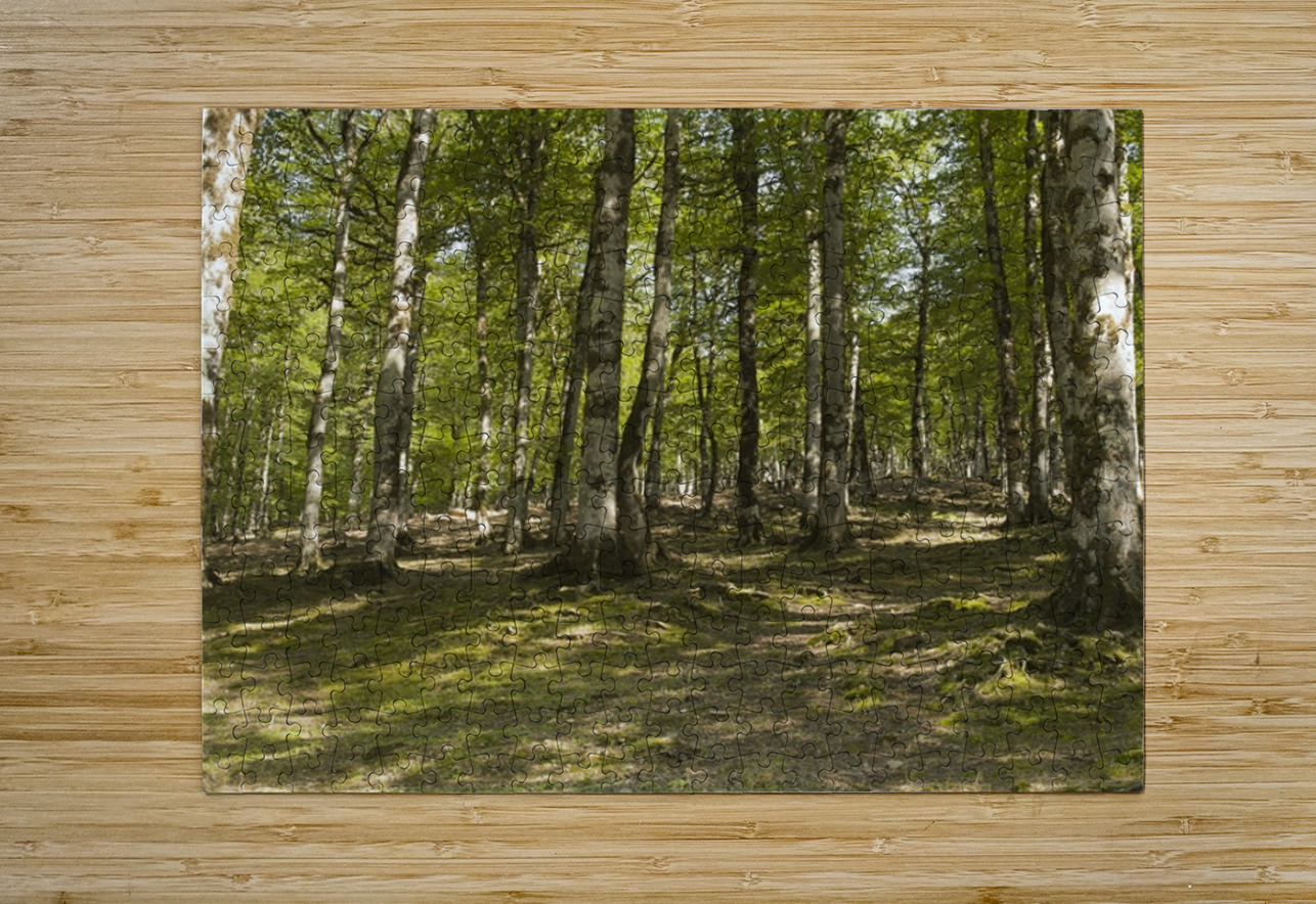 Breath of Hyrcanian Forest NARIO Puzzle printing