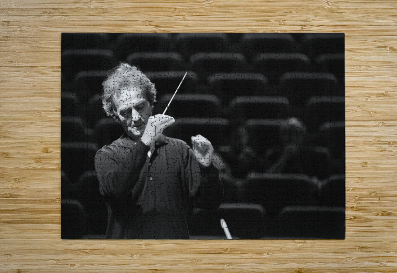 The Silent Symphony NARIO Puzzle printing