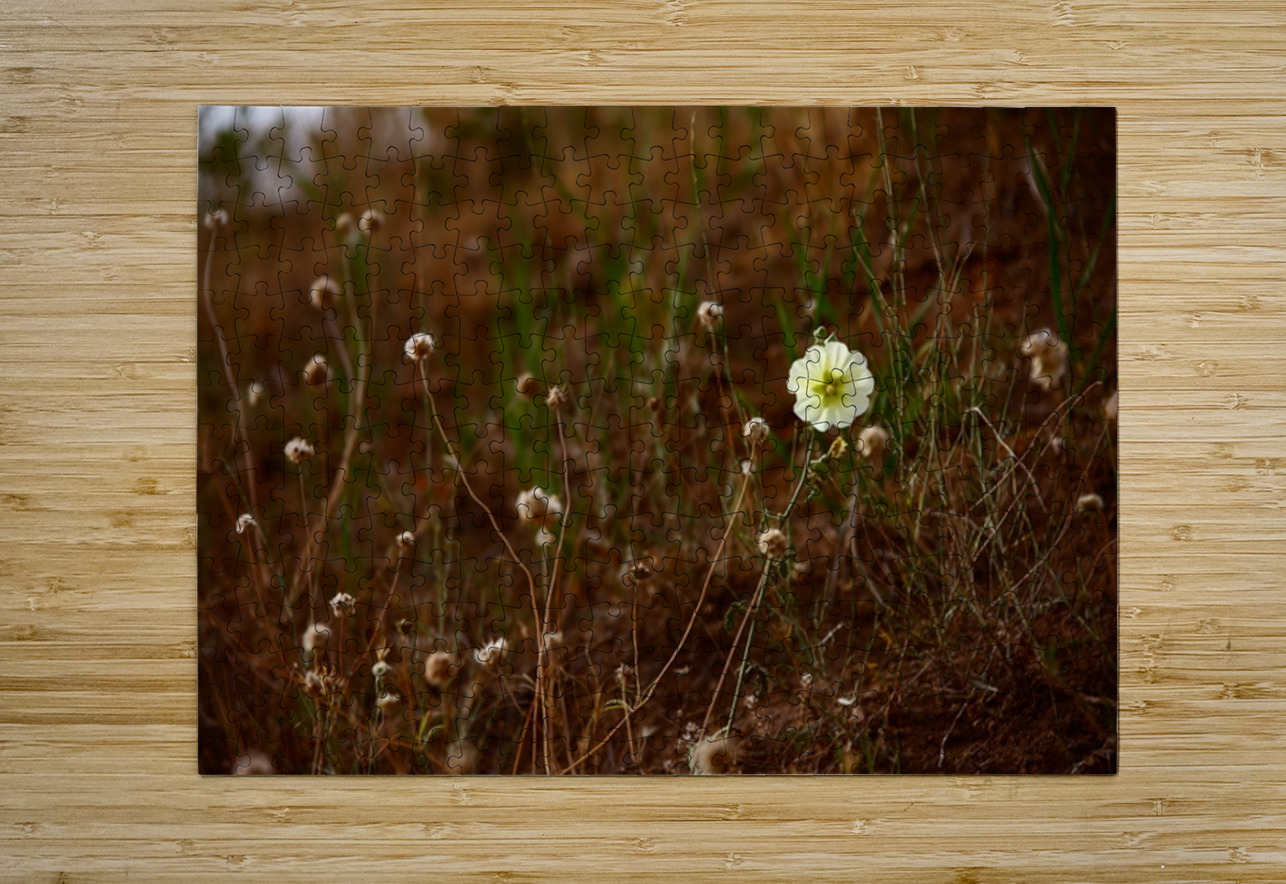 Bloom in Solitude NARIO Puzzle printing
