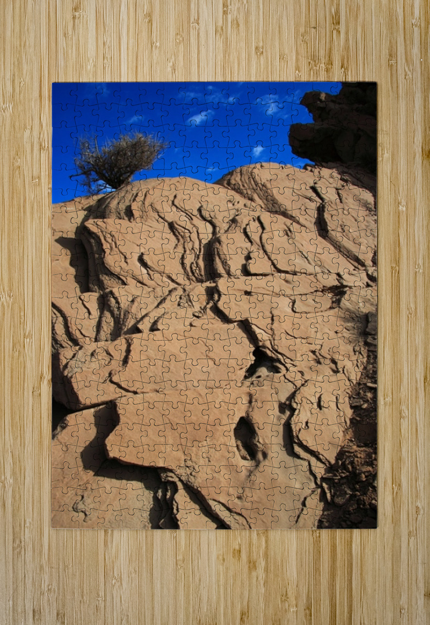 Roots of the Sky NARIO Puzzle printing