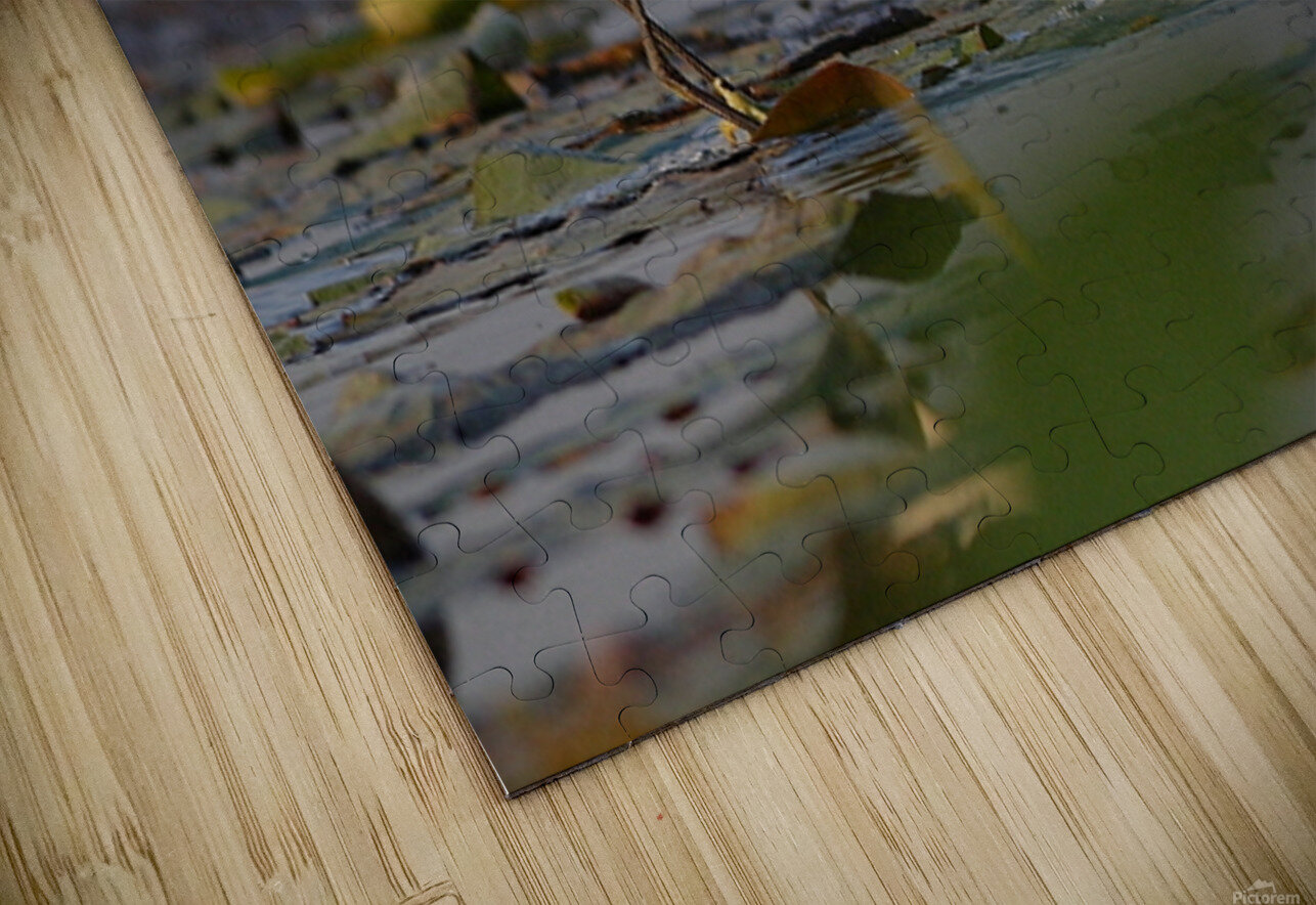 Dance of the Heron NARIO Puzzle