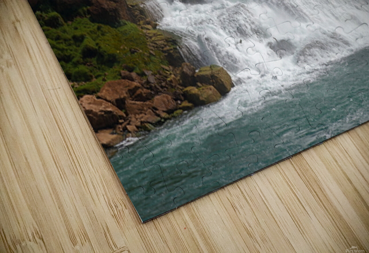 The Roar of Nature NARIO Puzzle