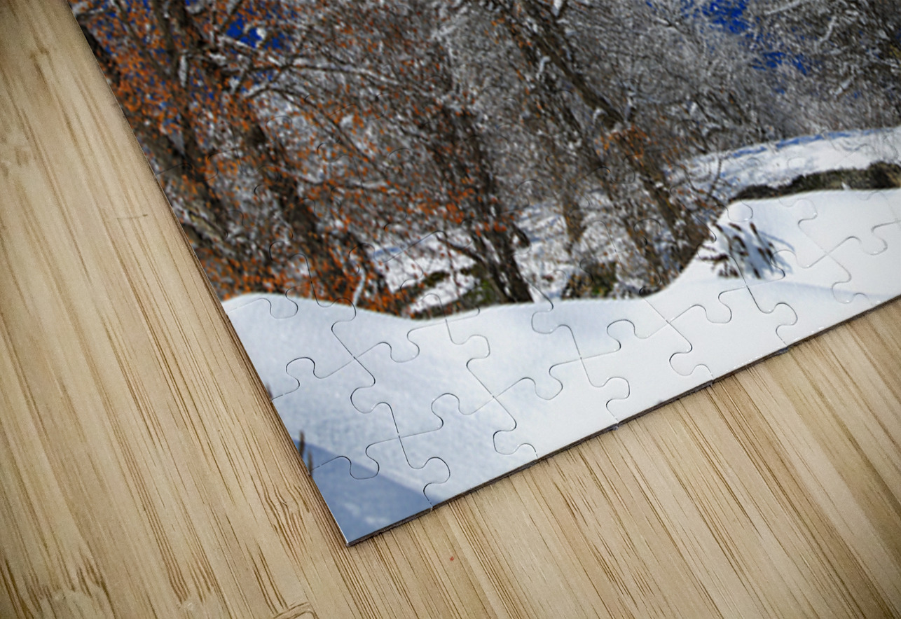  Silent White NARIO Puzzle