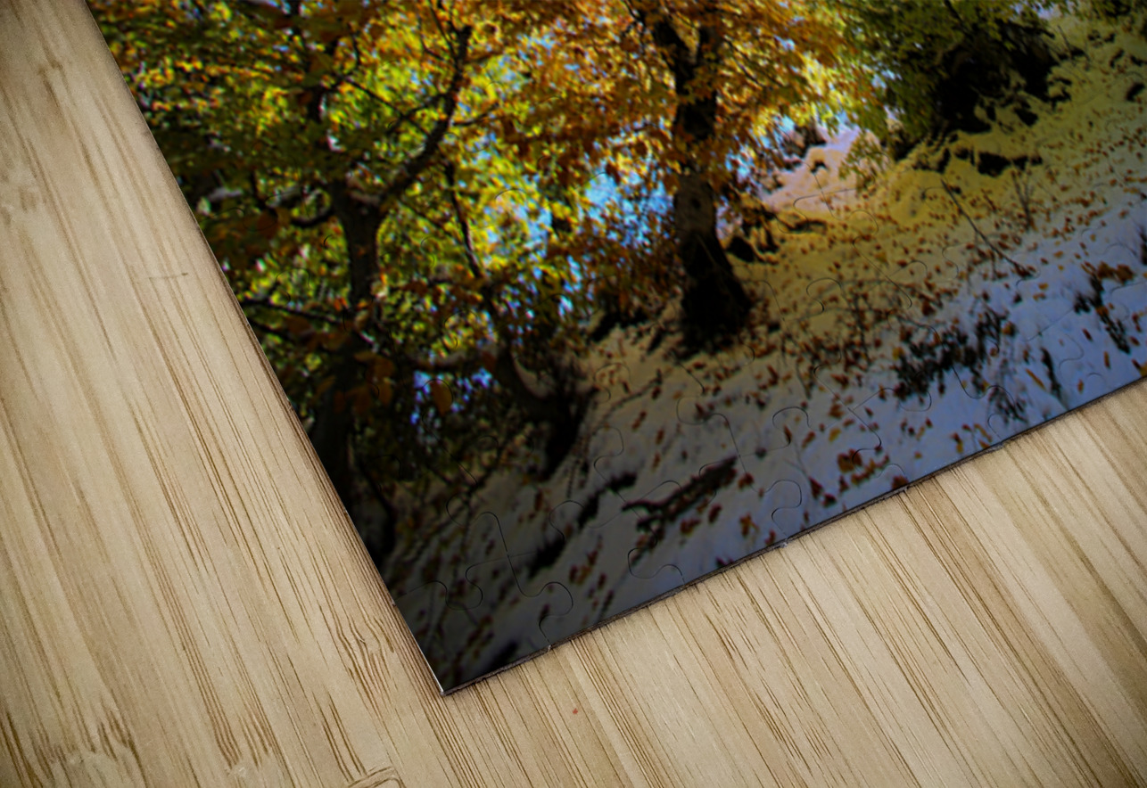 Autumn in Blue’s Embrace NARIO Puzzle