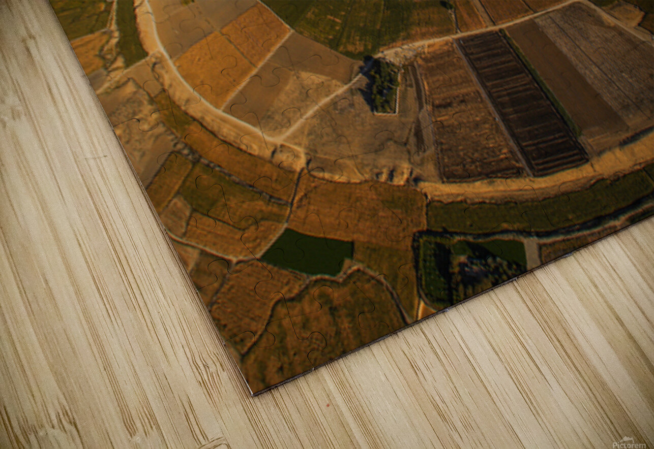 Circle of Life NARIO Puzzle