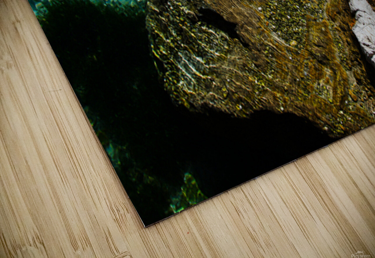 Living Stone NARIO Puzzle