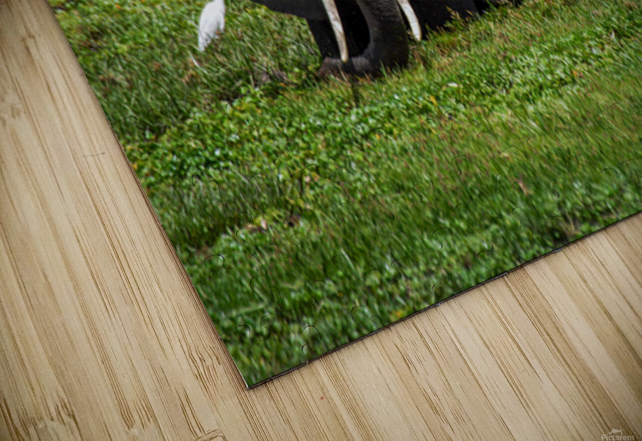 Gentle Giants NARIO Puzzle